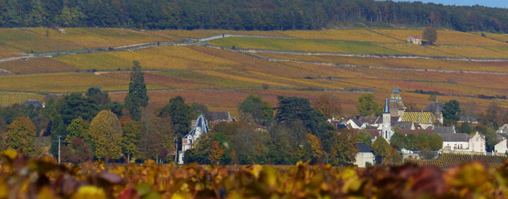 La région Bourgogne dans les vignes